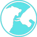 FT admin Discord server icon