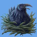 Crow's Nest