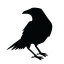 Crow's Nest