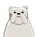 My Immortal Dog