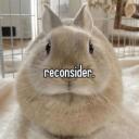 Reconsider Discord Server Icon