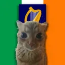 | IrelandBall Discord