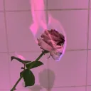 𓂃 ࣪˖ ִֶָ🐇་༘࿐ Haunted Rose Garden