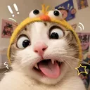 cypherz ʕ•ᴥ•ʔ