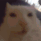 nic's backdoor Server Icon