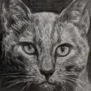 feŋlapenkord's icon