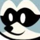 The Raccoon Federation Agency Discord Server Icon