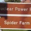 Emiilavaburst14's Spider Farm