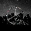 Musician Community's icon