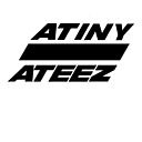 Ateez + Atiny Discord Server Icon