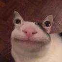 Toasted Buns Discord Server Icon