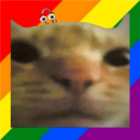Cat Stand avatar