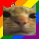 Cat Stand