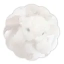 ʚ﹒𝑠𝑡𝑒𝑙𝑙𝑎𝑟𝑖𝑎﹒ɞ Discord Server Icon