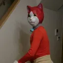 こんにゃくの身内鯖
