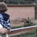 The Hunter Domingos_Show