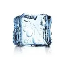 The Ice Cube