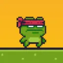 Renegade Frog Speedrun