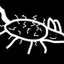 The Gregor Samsa Hub