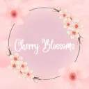 Cherry Blossoms