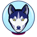 LearnNEarn's server's icon