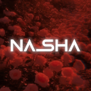 Discovery icon for NASHA™ | Indian •  Hindi • Voice Chat • Delhi • India • chill • Active Discord server