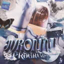 jvronn programs 🌃