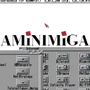 AMiNIMiga