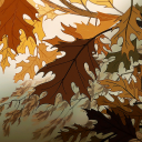 ༻ 𝕾𝖕𝖔𝖔𝖐𝖞 𝕻𝖚𝖒𝖕𝖐𝖎𝖓 𝕻𝖆𝖙𝖈𝖍 ༺ Banner