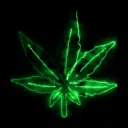 CannaFarm Club