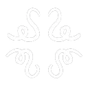 Camp Symmetry