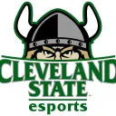 CSU Vikings Esports