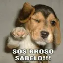 gordos