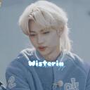 Wisteria ⋆ manhwa ⋆ kpop Discord Server Icon