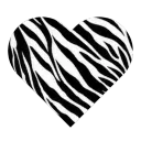 Ehlers Danlos Syndrome