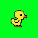 Ducky Ducks NFT
