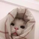 เหงา