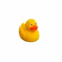 Ducky Productions