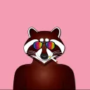 CartoonRaccoon