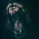 Beyond The Veil - Spanish