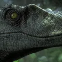 CalBMk's server's icon