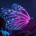 ✧✴  🦋  the kaleid♡sc♡pe  🦋  ✴✧