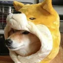 Firewolf's Silly emporium