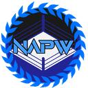 NEW AGE PREMIER WRESTLING Discord Server Icon