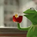 kermit's kingdom Discord Server Icon