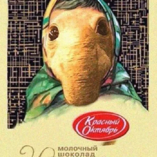 Ку — мониторинг Discord сервера, статистика и рейтинг