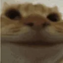 cvte Discord Server Icon