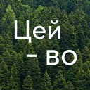 ЦЕЙ-ВО — мониторинг Discord сервера, статистика и рейтинг