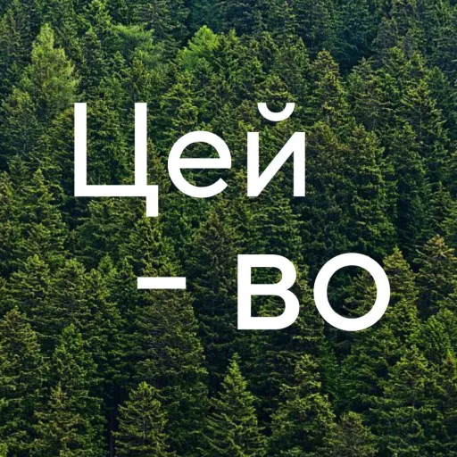 ЦЕЙ-ВО — мониторинг Discord сервера, статистика и рейтинг