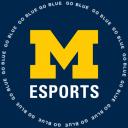 Michigan Esports icon